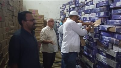 ضبط 70 طن أسماك غير صالحة للاستهلاك الآدمي بأبوحمص بالبحيرة 