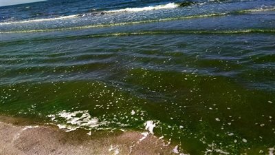 بعد عاصفة دانيال.. سبب تحول لون مياه بحر بورسعيد إلى الأخضر (فيديو)