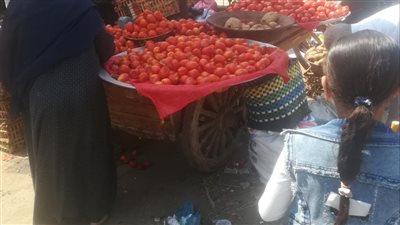 الطماطم تواصل حنانها في أسواق الفيوم.. تعرف على أسعار الخضروات والفاكهة    