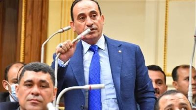 محمد زين الدين يثمن دعم مصر لمشروعات الكهرباء داخل القارة السمراء