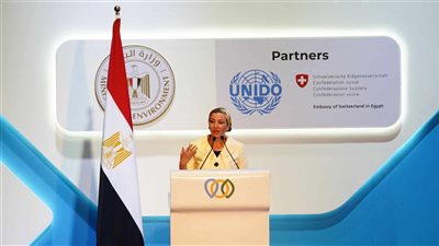 فؤاد: التنسيق بين الحكومة المصرية حقق دمجًا حقيقيًا للبعد البيئي في قطاعات التنمية