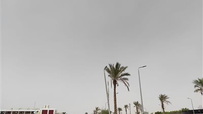 طوارئ بجنوب سيناء لمواجهة العاصفة دانيال |صور