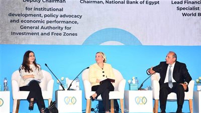 فؤاد: انشاء هيكل تمويلي مستدام للمناخ يتطلب خلق آليات سوق مبتكرة 