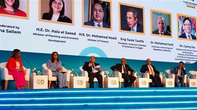 الرقابة المالية: تطوير الأطر التشريعية والتنظيمية لتعزيز مستويات الاستدامة في الأنشطة المالية غير المصرفية