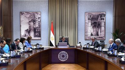 مدبولي يستعرض مشروع إقامة مجمع صناعي متكامل لإنتاج مُسطحات الصلب