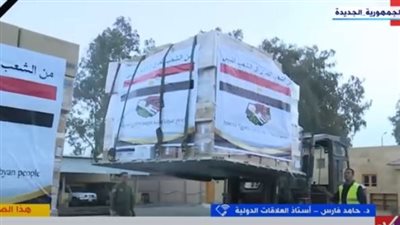 أستاذ علاقات دولية: مصر الداعم والسند الحقيقي للدول العربية (فيديو)
