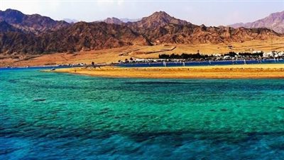 هجوم مفترس لقرش على سيدة مصرية بدهب