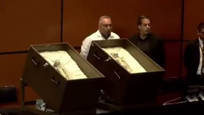 الكشف عن بقايا محنطة لمخلوقات 