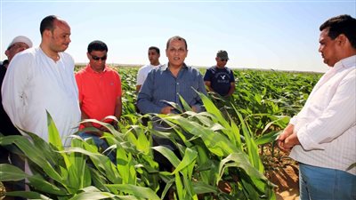 الريف المصري :  ٤٠٠ دورة إرشاد زراعى مجانية تم تنظيمها لمزارعي ١.٥ مليون فدان