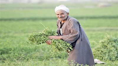 منهم المرأة الريفية.. 7 فئات تستفيد من برنامج 