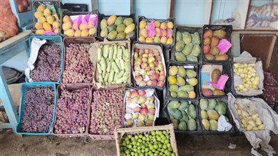 الطماطم بـ8.5 جنيه للكيلو أسعار الخضراوات بأسيوط اليوم الخميس  14 - 9 - 2023