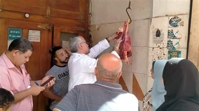 تحرير 31 مخالفة تموينية بمركز المحلة الكبرى 