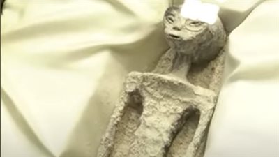 جثامين لمخلوقات 