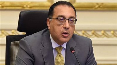 مجلس الوزراء: لا صحة لتداول أسماك نافقة بالأسواق