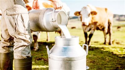 منتجات الألبان قليلة الدسم تشكل خطراً صحياً.. دراسة تكشف مفاجأة 