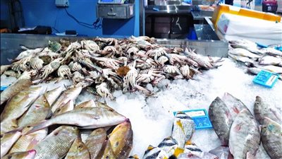 الجمبري يبدأ من 85 جنيهًا.. مفاجأة في أسعار الأسماك اليوم الجمعة