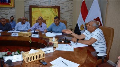 الوادي الجديد: عدم تمليك الأراضي الزراعية داخل الحيز العمراني واستمرار حق الانتفاع والإيجار