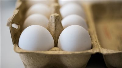 أسعار كرتونة البيض اليوم الجمعة لدى المستهلك