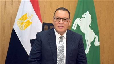 محافظ الشرقية: افتتاح 6 مشروعات بديرب نجم بتكلفة 64 مليون جنيه 