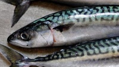 أسعار الأسماك والدواجن والخضراوات اليوم في كفرالشيخ