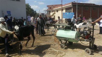 مليون و250 ألف جنيه تكلفة تطوير الوحدة البيطرية بأبو غنيمة