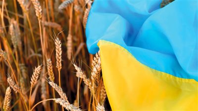 قرار عاجل من 