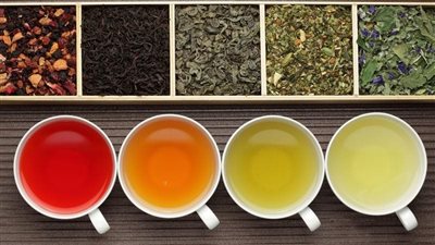 أكثر أنواع الشاي فائدة للجسم.. الأخضر والأحمر أبرزها 