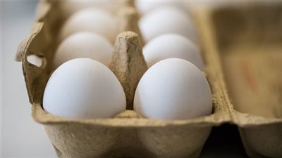 أسعار البيض صباح الأحد.. كرتونة الأبيض بكام