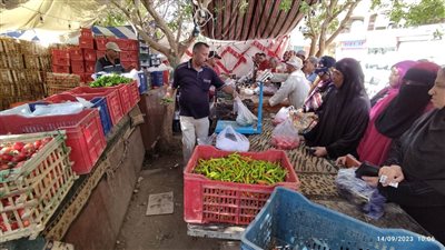 الوادي الجديد تواصل طرح الدواجن والخضروات والفاكهة بأسعار مخفضة للمواطنين