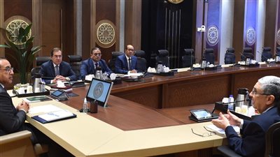 مدبولي يتابع إجراءات تعظيم دور الطاقة المتجددة الفترة المقبلة