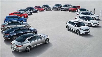 مفاجأة غير متوقعة في تراخيص السيارات بمصر