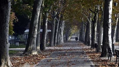 موعد فصل الخريف رسميًا وعدد أيامه