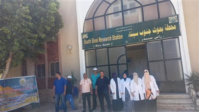 علاج وفحص 1340 رأس ماشية مجانا لصغار المربين بجنوب سيناء