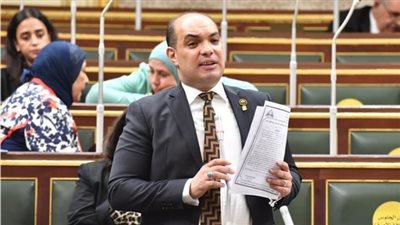 النائب علاء قريطم: قرارات الرئيس السيسي تحقق أحلام وطموحات المصريين  