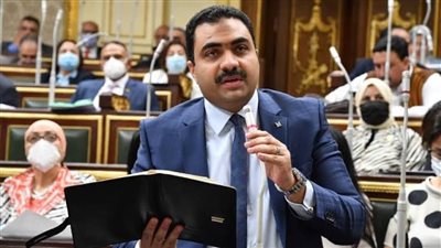 النائب محمود قاسم : قرارات الرئيس السيسي انحياز كبير للطبقات الكادحة 