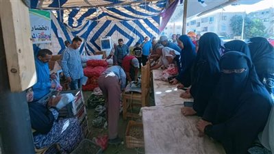 محافظة الوادي الجديد تسيطر على الأسواق وتخفف العبء عن المواطنين