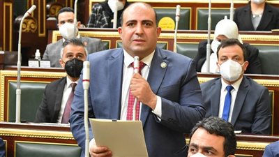 برلماني يثمن الجهود الدبلوماسية لدعم العلاقات المصرية الإيطالية