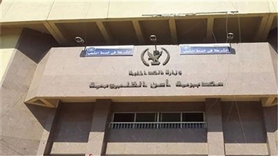 ضبط المتهمين بالاعتداء على ربة منزل وإصابتها بقطع في الأنف بشبين القناطر 