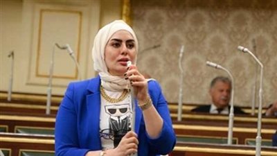 النائبة رحاب موسى: لقاء السيسي وبن زايد يهدف لخلق فرص جديدة للتعاون المشترك