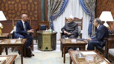 الإمام الأكبر: الأزهر لا يتوانى عن مساعدة الشعوب الإفريقية في بناء نهضتها  