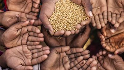 الجوع يلاحق سكان العالم.. 700 مليون لا يعرفون متى سيأكلون