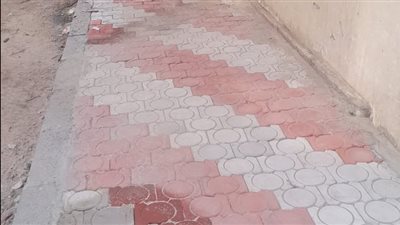 محافظ أسيوط: تركيب الإنترلوك بالشوارع الضيقة وبلدورات للأرصفة