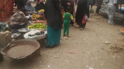 اسعار الخضار والفاكهة اليوم الاربعاء بالفيوم 