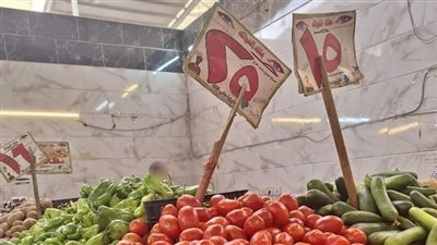 استقرار أسعار الفواكه والخضروات بأسواق قنا اليوم الأربعاء