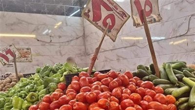 بشرى سارة من شعبة الخضروات بشأن خفض أسعار الطماطم بالأسواق.. فيديو
