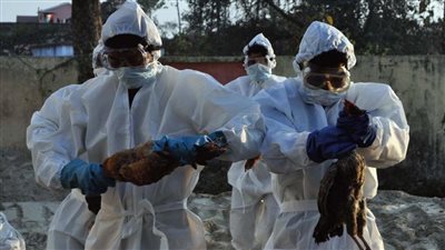 تحذيرات من ظهور فيروسات فتاكة جراء جريمة بشرية مستمرة من 500 عام