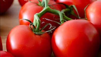 الطماطم تؤثر سلبا على صحة كبار السن.. طبيبة تكشف مفاجأة 