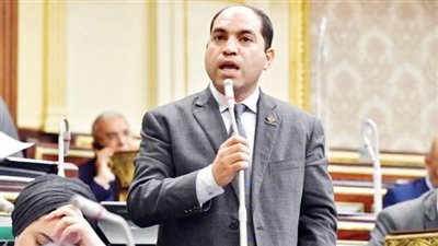 برلماني: مصر لديها تحديات منذ أكثر من 13 عام ونحمد الله على صمودنا