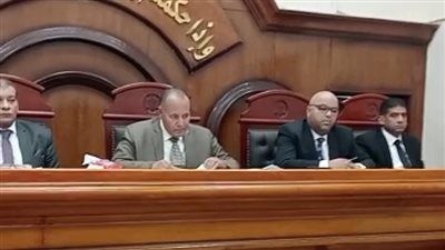 اليوم.. نظر جلسة محاكمة قاتلة ابنها في الشرقية