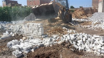 محافظ أسيوط: إزالة 28 حالة تعد على الأراضي الزراعية 